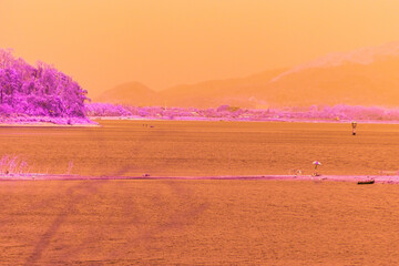 An infrared style, a landscape dominated by a water body with a shoreline lined by trees