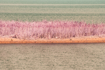 An infrared style, a landscape with a body of water in the foreground and a strip of land in the...