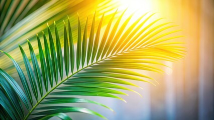 Obraz premium Lush Green Palm Frond Illuminated by Warm Sunlight, a Vibrant Tropical Scene