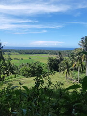 A day in a farm