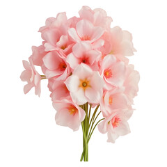 Fototapeta premium pink bouquet , Flowers symbolize love on Valentine's Day Isolated on a white background