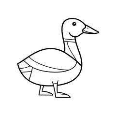 duck isolated on white