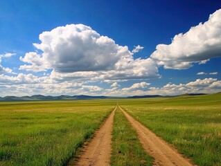 Obraz premium A captivating view of a dirt road through a vast field under a bright blue sky with clouds