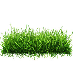 Obraz premium Lush Green Lawn Illustration with Transparent Background
