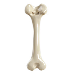 Realistic dog chew bone toy design