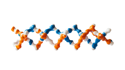 Realistic DNA Helix Model Representing Biotechnology and Research Isolated on Transparent Background 