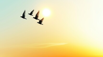 Obraz premium Serene Sunset with Flying Birds Silhouetted Against Soft Pastel Sky and Golden Sunlight
