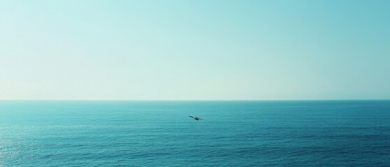 Naklejka premium The vast ocean meets the endless sky, a single seagull gliding, symbolizing freedom and a boundless horizon.
