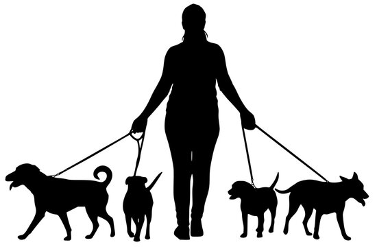 Woman dog walker walking with group of pets, vector graphic silhouette. JPEG version.