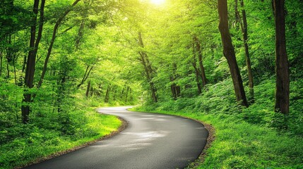 Fototapeta premium A road winding through a lush forest with sunlight breaking through the trees, symbolizing hope and success.