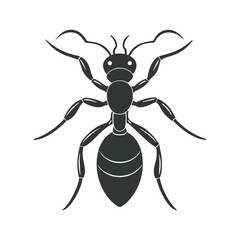 Ant silhouette vector. Ant Vector Design Logo. Ant Illustration With Various Shapes. Black ant art on white background.
