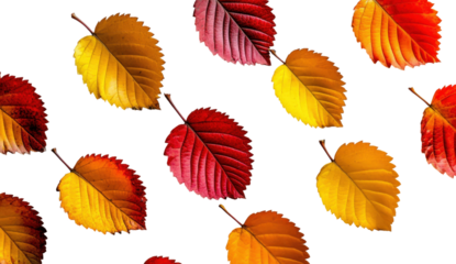 Vibrant autumn leaves pattern, red, orange, and yellow foliage isolated on white background. Perfect for fall designs, seasonal decorations, or nature-themed projects.