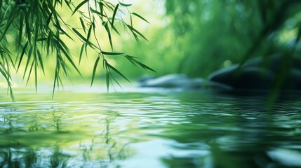 zen water garden scene, vibrant green bamboo leaves, gentle water movement, soft pastel green water, natural light effects, meditative pool surface, wellness aesthetic