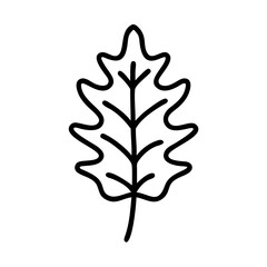 Obraz premium Black vector icon of an oak leaf