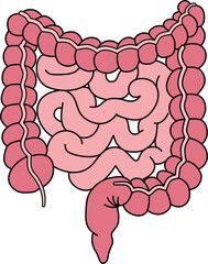 illustration of internal organs anatomy human body
