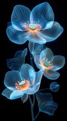 Glowing flowers, dark background, botanical art, for decoration