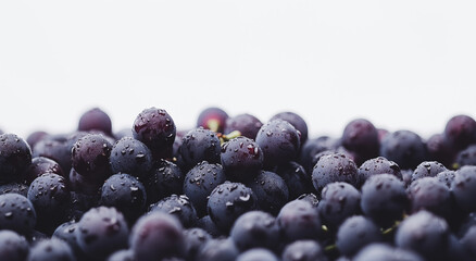 fresh grapes pictures
