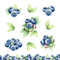 Fresh organic blueberries hand drawn set on white background. Blueberry watercolor vintage style illustration collection. Perfect for print, packaging, decor and food-themed designs
