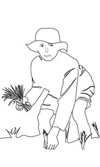 Art vector illustration of farmer planting rice trees,