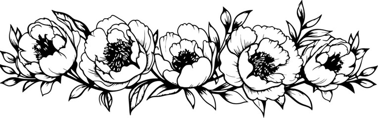 Poeny flower corner border drawing