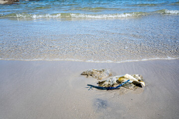 Beach garbage. Pollution affects the environment and nature conservation. Garbage on the beach wiht dirty sea sandy. plastic bottle. Pollution of beaches and sea.