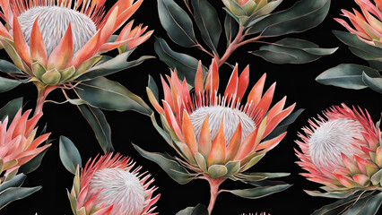Detailed king proteas on a black backdrop