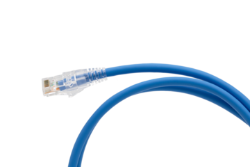 Blue network cables with molded RJ45 plug on transparent background (PNG File)