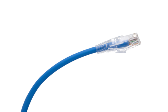 Blue network cables with molded RJ45 plug on transparent background (PNG File)