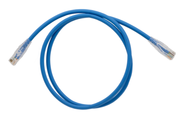 Blue network cables with molded RJ45 plug on transparent background (PNG File)