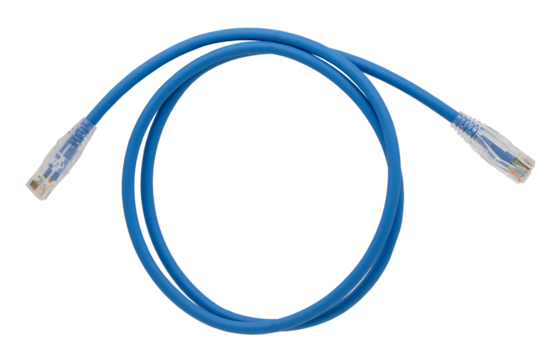 Blue network cables with molded RJ45 plug on transparent background (PNG File)