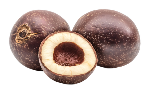 Cupuacu on a transparent background. isolated background.