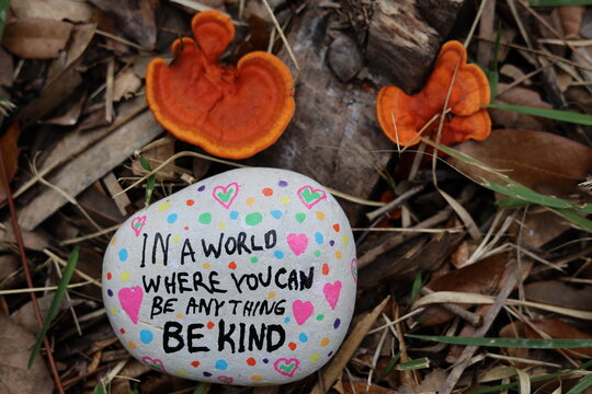 Be kind kindness rock by red shelf fungi