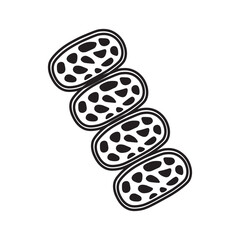 Thalassiosira sp line icon