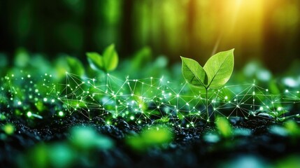 A vibrant forest floor with young plants and a digital network overlay symbolizing growth and connectivity.