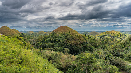 Fototapeta premium Unique karst hills. Rounded mountains are covered with brownish grass. Lush tropical vegetation in the valley. Blue sky, clouds. Philippines. Bohol. Chocolate Hills Natural Monument. Carmen