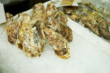 Fresh oysters at the traditional market