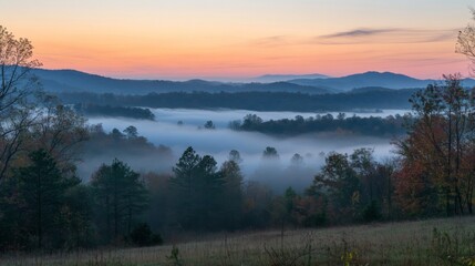 Fototapeta premium Misty Valley Sunrise with Autumn Colors