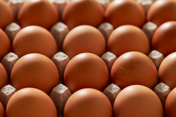 eggs in a carton