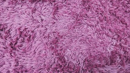 purple carpet texture background. purple carpet floor with soft hair. bright purple smooth carpet background