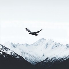 Fototapeta premium A solitary bird soars above majestic snow-capped mountains, embodying freedom and the beauty of nature.