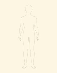 Human body illustration