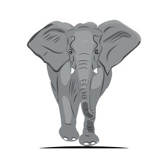 African Elephant vector art Illustration