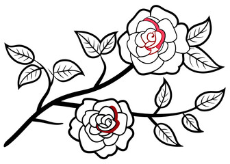 hand drawn sketch of rose, rose flowers on a tree branch with leaves, line art illustration isolated white