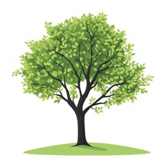 Obraz premium Leaf Branch Woody plant Clip art