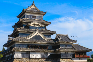 Fototapeta premium 国宝、松本城