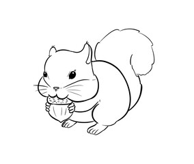 squirrel eating acorn digital drawing illustration isolated