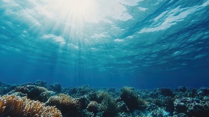 Sunlight filters through clear blue water, illuminating coral reefs beneath the ocean's surface, creating a serene underwater scene.