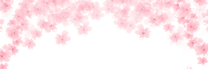 Fototapeta premium 桜 和柄 水彩 背景