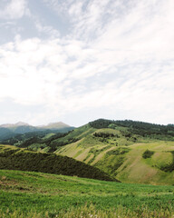 Obraz premium landscape with mountains