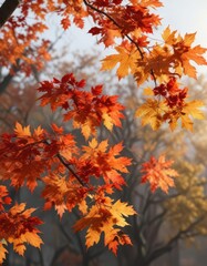 Branch of a maple tree with changing leaves in shades of orange and red, changing seasons, deciduous trees, outdoor scene